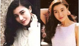 天涯爆料黎明李嘉欣视频,天涯爆料背后的真相揭秘