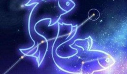 双鱼座女孩爆料视频大全,揭秘星座背后的真实故事