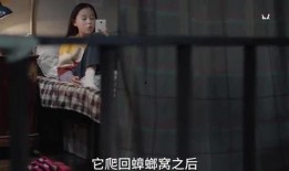 百万姐姐爆料视频大全集,揭秘娱乐圈幕后真相