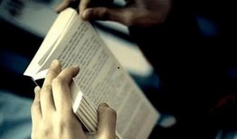 书科的日常在线观看,线上阅读时光的温馨记录