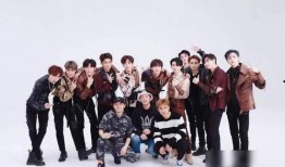 王温暖爆料视频大全下载,揭秘幕后真相与精彩瞬间