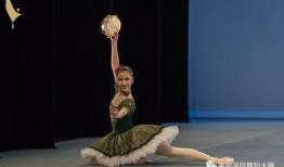 芭蕾舞蹈爆料视频,爆料视频揭示舞蹈者的辛勤与魅力