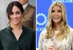 梅根最新消息爆料