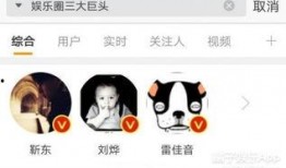 娱乐吃瓜君雷佳音,娱乐吃瓜界的“瓜王”