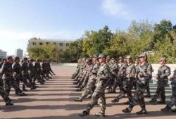 军训综艺爆料视频下载免费,免费下载爆料视频，一窥军营生活真实现状