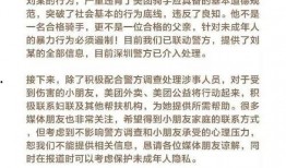 爆料家暴小女孩视频播放,家暴小女孩视频引发社会关注