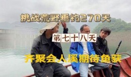 78天 在线观看,沉浸式在线观影之旅