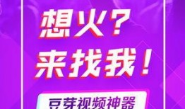 豆芽爆料视频在线观看,揭秘幕后真相，带你走进事件核心