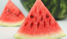 娱乐吃瓜小象微博,揭秘娱乐圈幕后故事