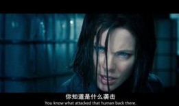 欧美大片在线免费观看,尽享好莱坞大片无限魅力