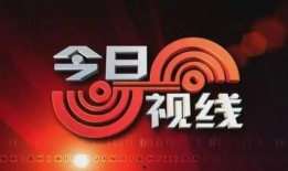 今日视线电话怎么爆料,揭秘事件背后真相